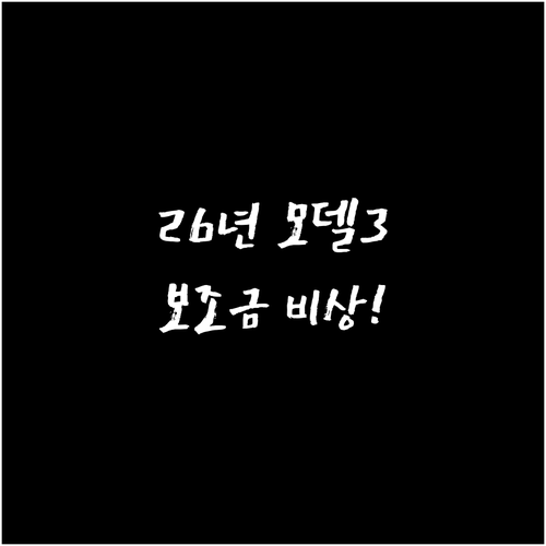 2026년 모델 3 스탠다드 LFP ..