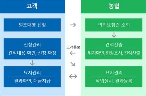 벌초 비용
