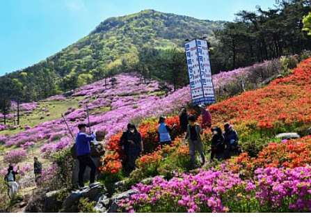 만연사