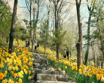 화담숲 예약 방법_3