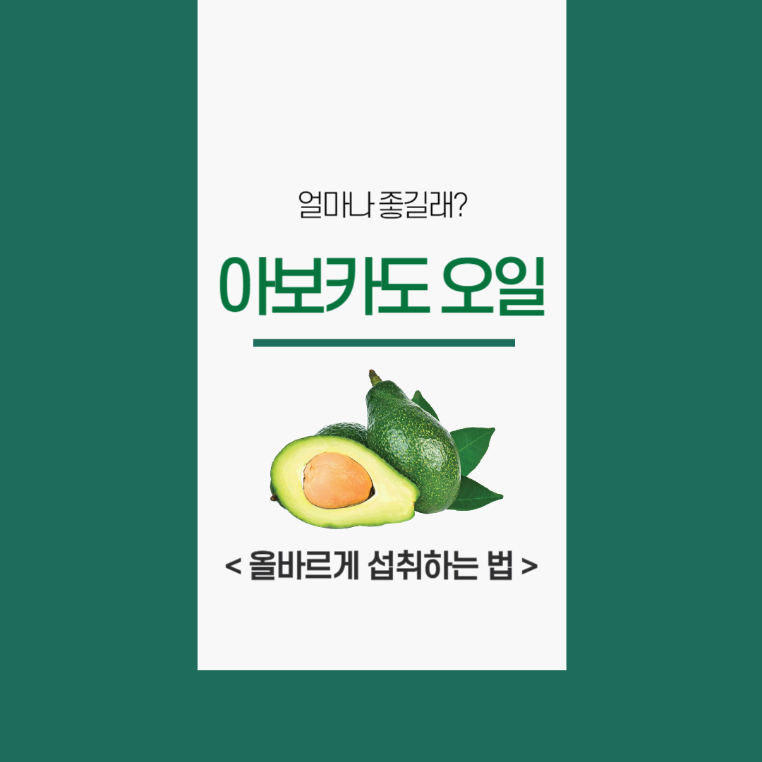 아보카도오일 다양한 섭취법과 활용법 그리고 주의사항까지