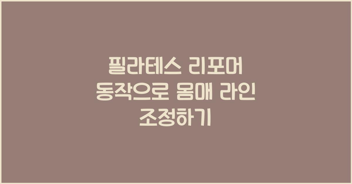 필라테스 리포머 동작