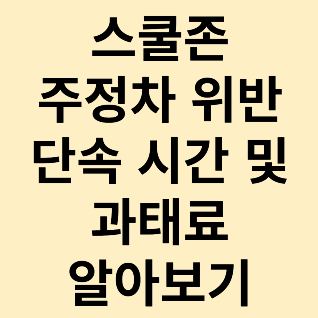 스쿨존 주정차 위반 단속