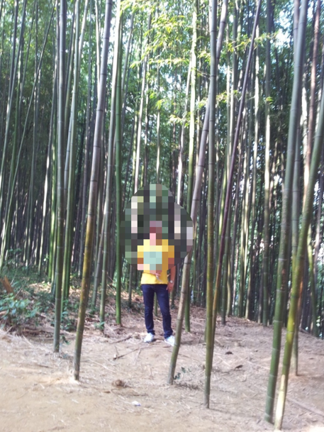 맹종죽테마파크 사진