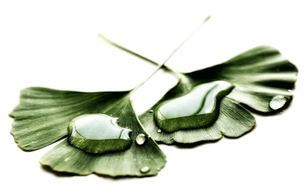 두뇌 건강에 좋은 건강기능식품 TOP5