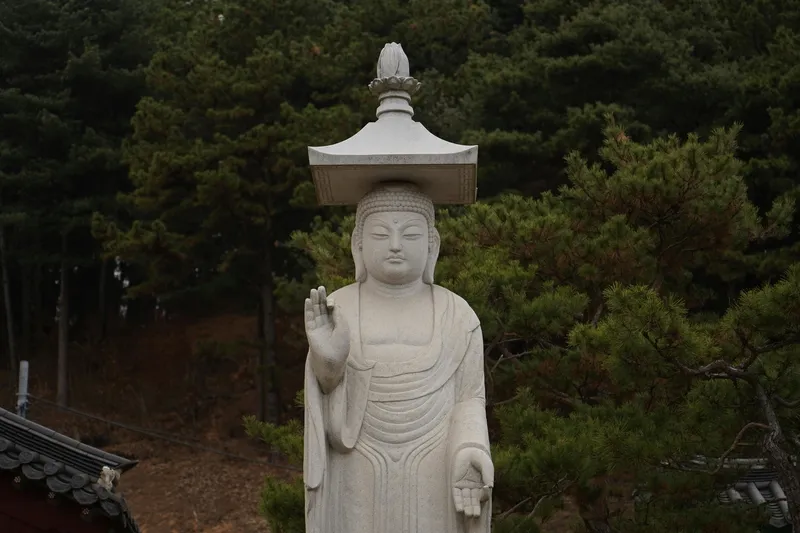 국군의날 임시공휴일 지정 확정