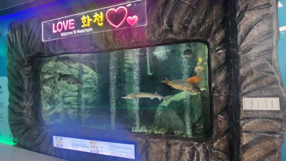 화천 가볼만한곳 베스트 10