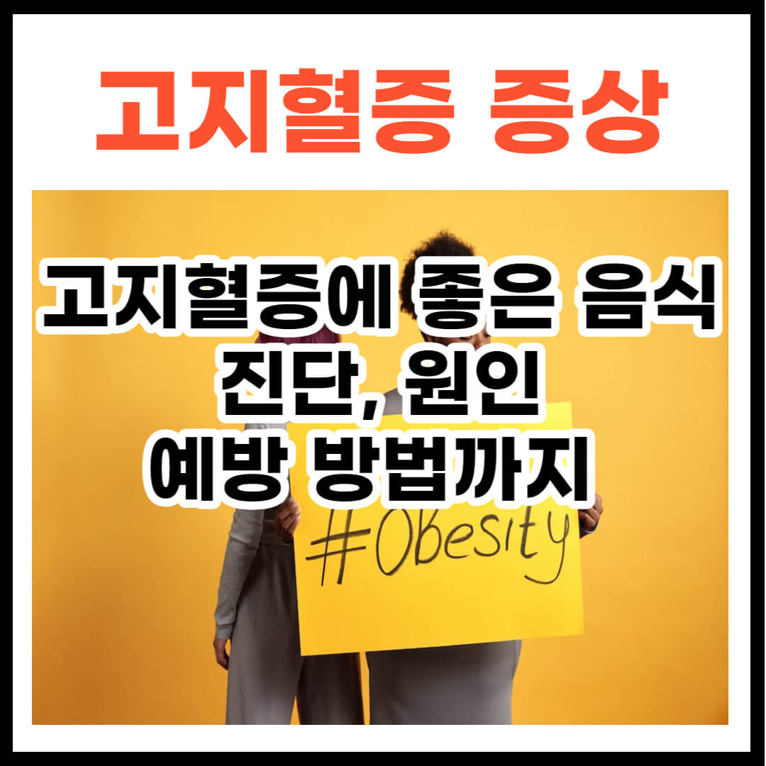 고지혈증 증상 및 고지혈증에 좋은 음식