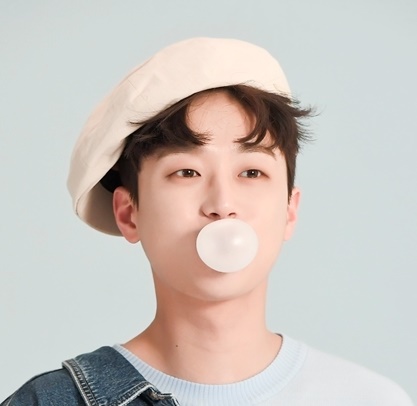 최애돌 셀럽 - 임영웅 영탁 이찬원 김선호 송가인