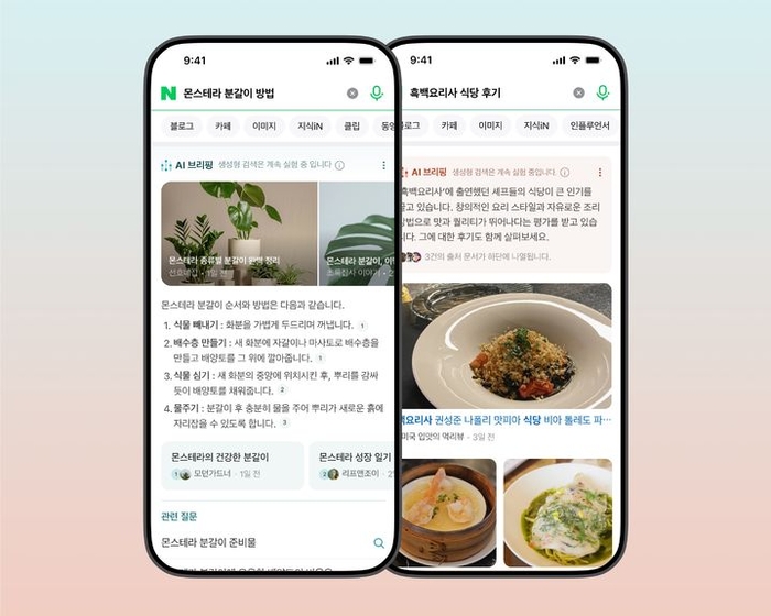 네이버 'AI 브리핑' 활용 모습