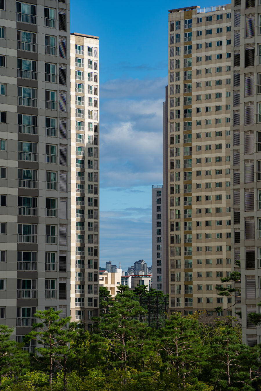 망포 글빛도서관 옥상정원