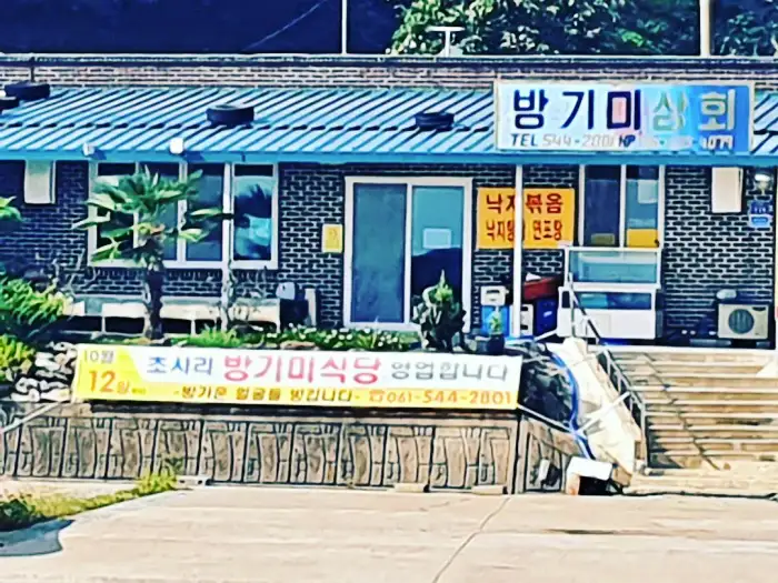 식객 허영만 백반기행 진도 초평항 솔비치 참기름 살짝 버무린 낙지 탕탕이 파 뿌리 숙회 맛집