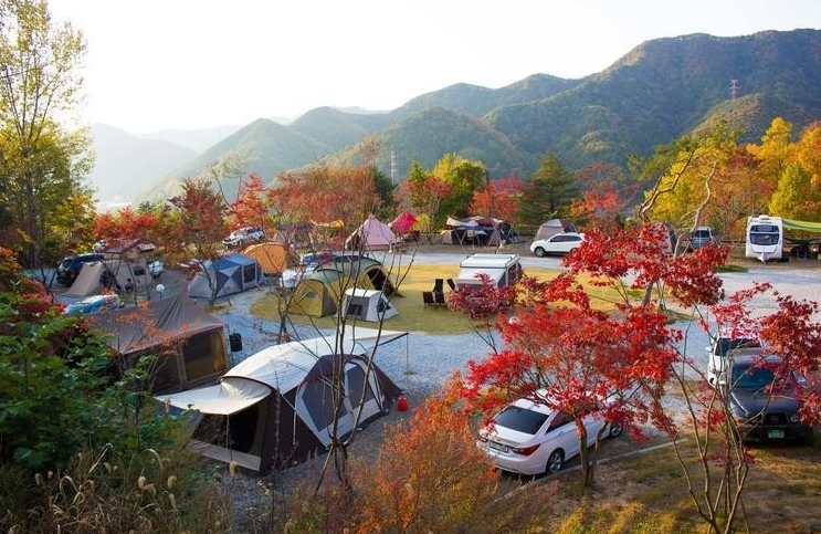 서대산 드림캠핑장