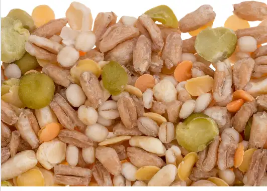 카무트 효능 효과 및 영양성분