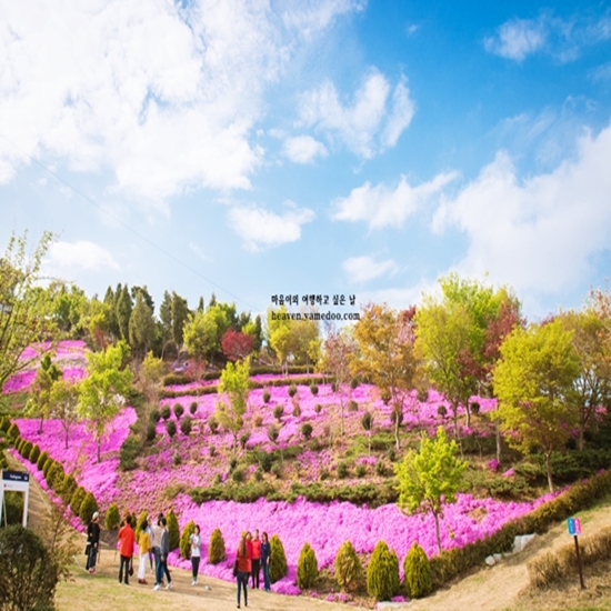 4월 여행지 추천