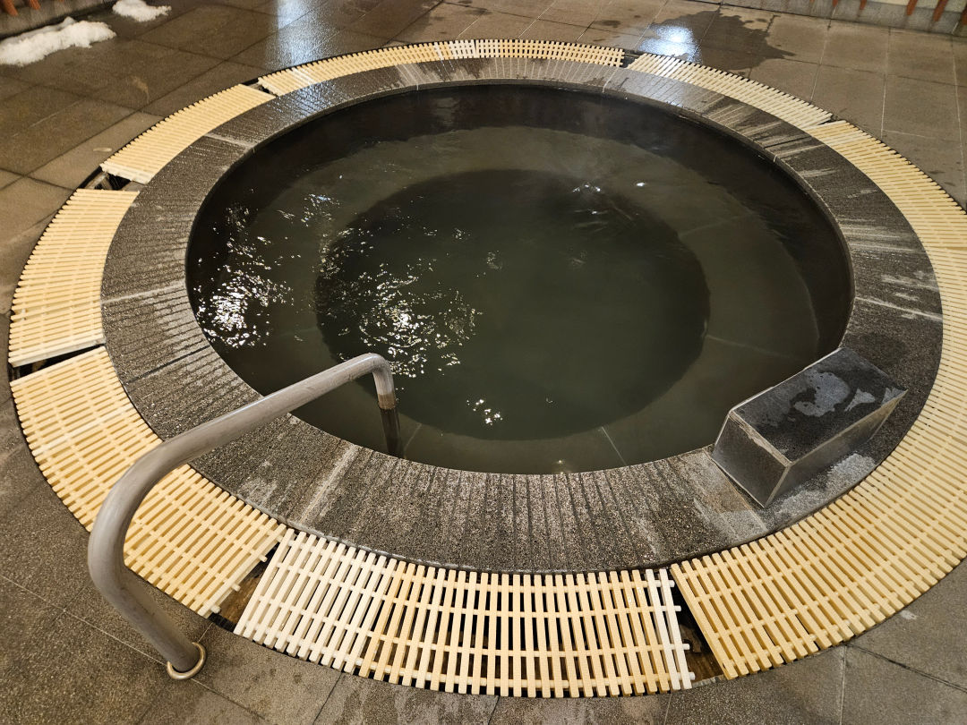 디아넥스 호텔 온수풀