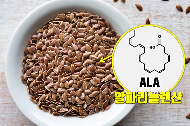 뇌졸중 회복 음식 뇌기능 회복 기간 단계 뇌졸중음식 아마씨 알파리놀렌산