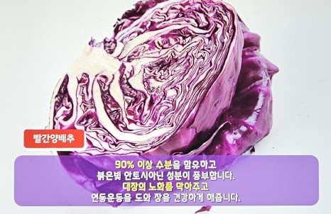 체했을때 증상 체했을때 지압법, 먹으면 좋은 음식 빨간양배추 요리