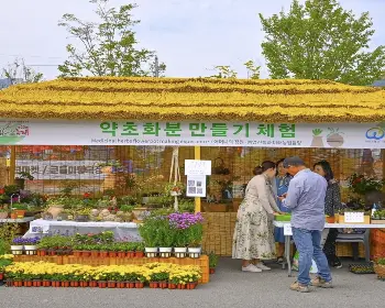 산청 한방약초축제_20