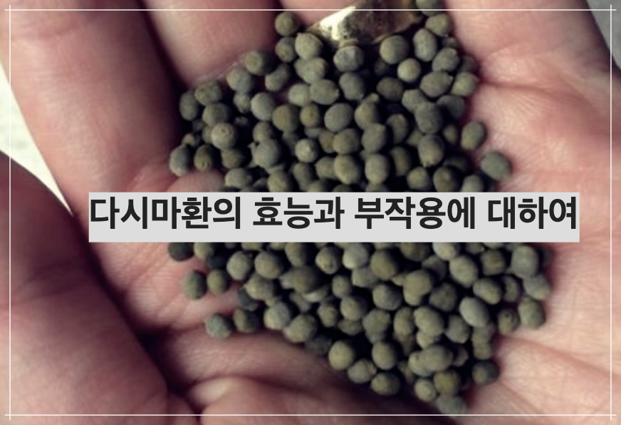 다시마환의 효능과 부작용에 대하여