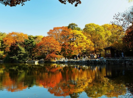 서울 고궁 이번 가을 꼭 가봐야할 BEST 4