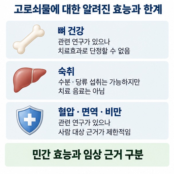 고로쇠물의 뼈 건강 숙취 혈압 면역 비만 관련 연구는 있지만 질환 치료효과로 단정할 수 없다는 점을 정리한 이미지