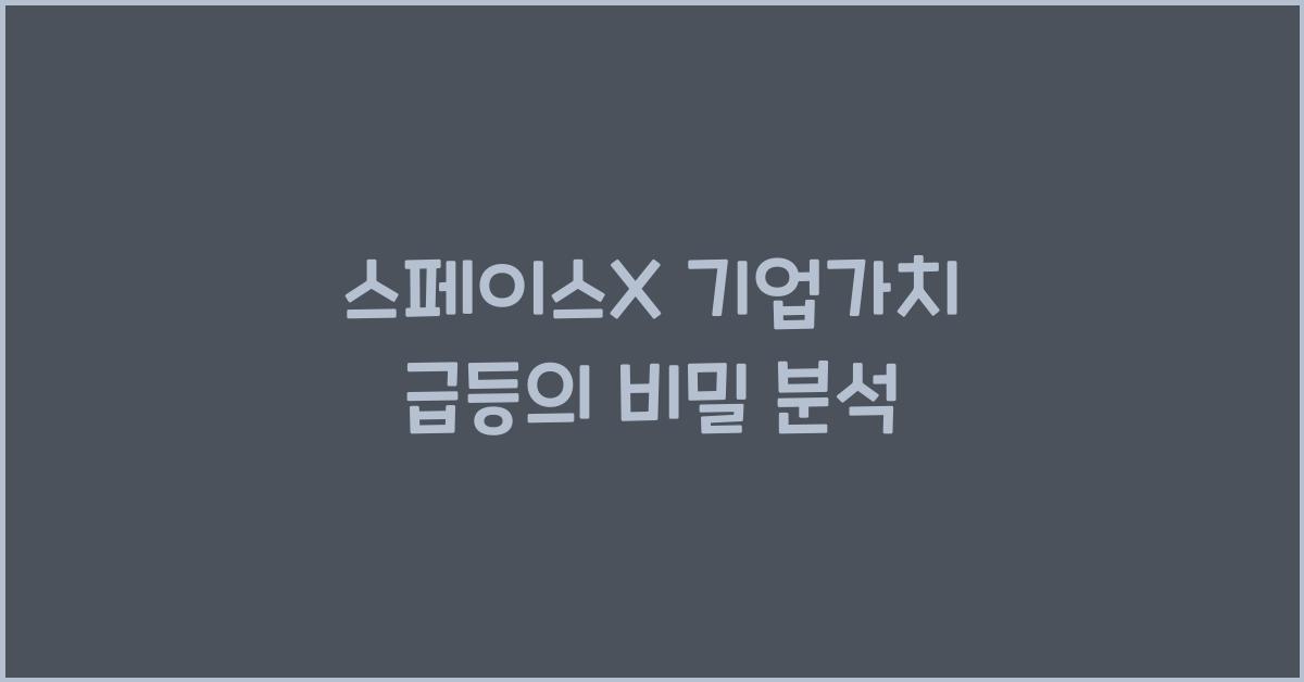 스페이스X 기업가치