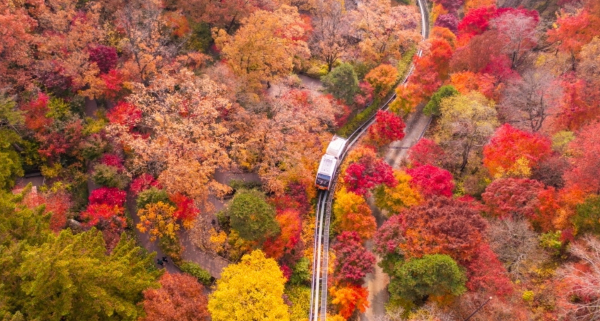 화담숲