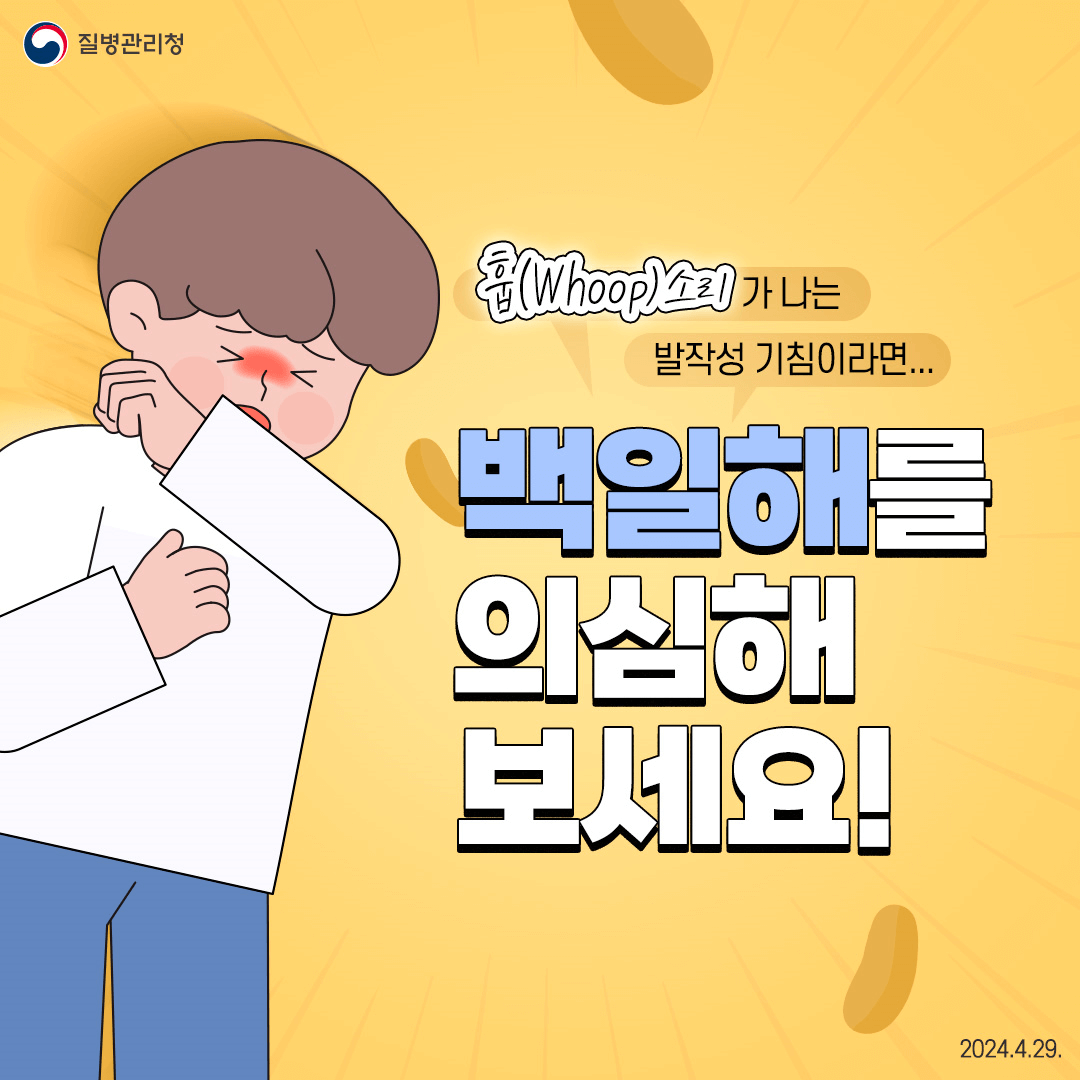 백일해 증상 예방접종 가격 가능 병원