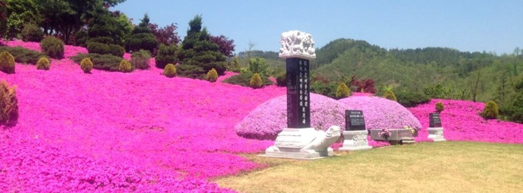 진안 꽃잔디동산