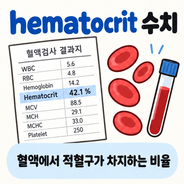 혈액검사 결과지와 적혈구 아이콘을 중심으로 hematocrit 수치 문구를 보여주는 대표 카드뉴스 이미지