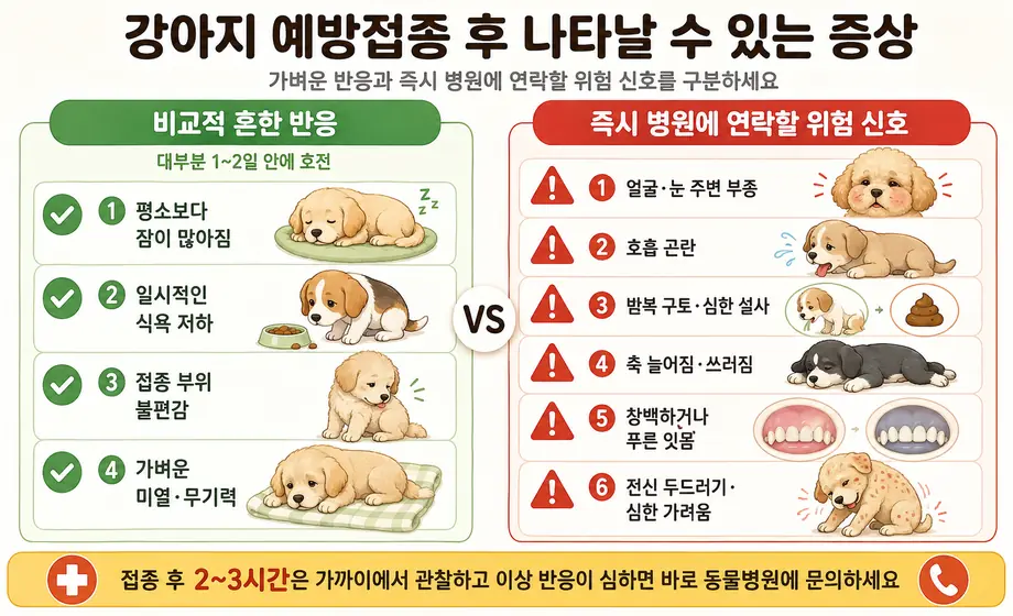 강아지 예방접종 후 나타나는 가벼운 반응과 얼굴 부종, 호흡 곤란, 반복 구토, 쓰러짐 등 병원에 연락해야 하는 위험 신호 비교
