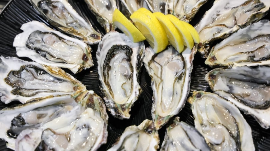 2025년 9월·10월 제철 해산물 가이드