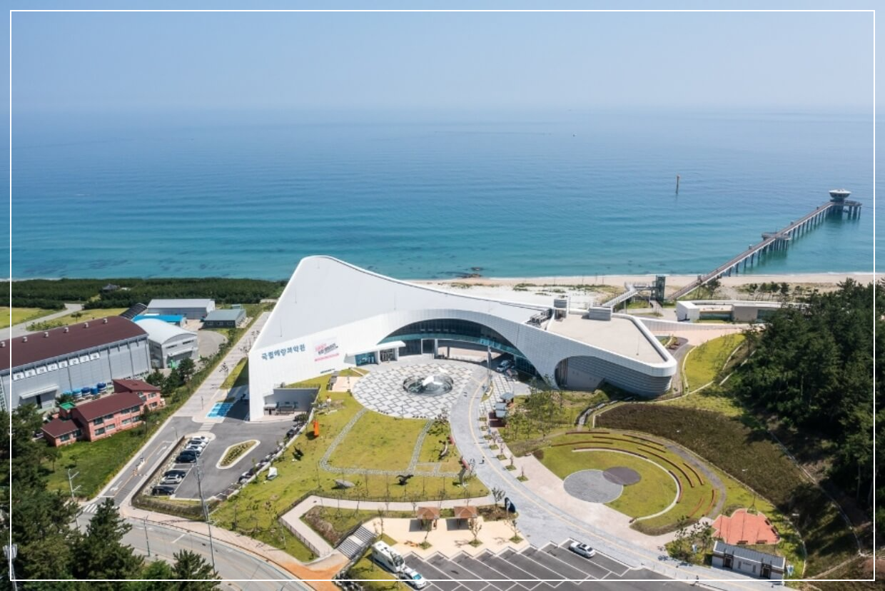 울진 가볼만한곳 베스트10 국립해양과학관
