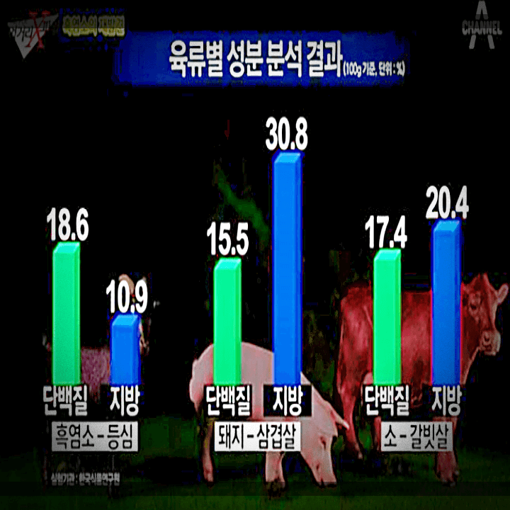 흑염소-단백질-지방-성분-분석-결과