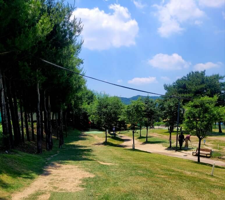 양주 나리공원 파크골프장 전체 뷰
