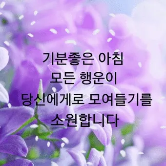 아침인사 이쁜글 다운로드_5