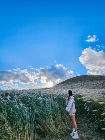 제주 부모님과 여행코스 추천 효도 여행지 완전정리_22