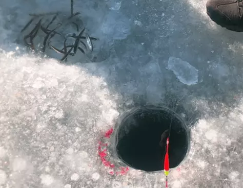 빙어 축제 구멍 낚시