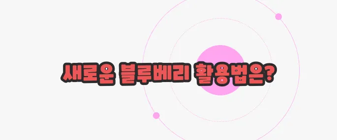 냉동 블루베리 먹는방법 지금부터 들여다보죠