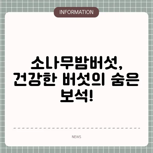 소나무밤버섯, 건강한 버섯의 숨은 보석!