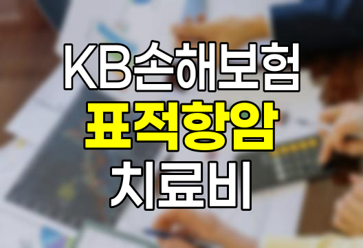 KB손해보험 표적항암약물허가치료비 특약의 혁신적 구조
