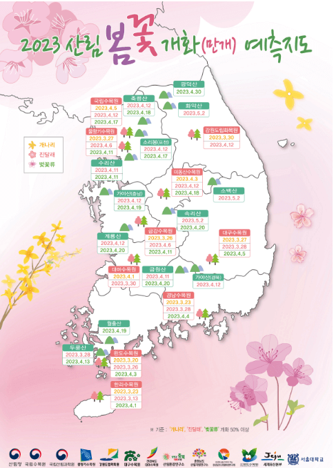 봄꽃 개화 만개일 예측지도-산림청 제공 (3/3일 기준)