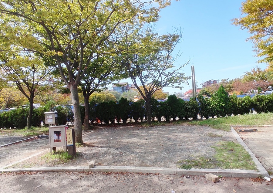 사이트보다 텐트가 크편 아스팔트 도로라 피칭을 못하는 학암포 야영장