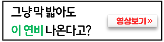 니로하이브리드-실제연비