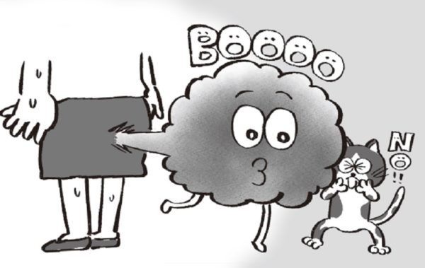 방귀가 많이 나오는 이유