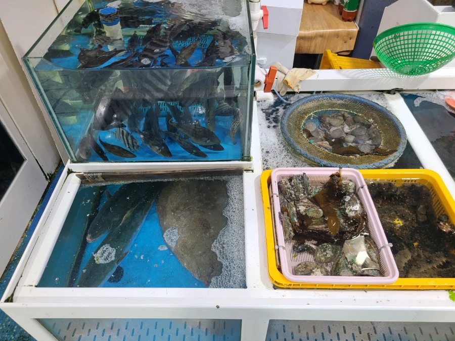 삼천포 용궁수산시장 횟감