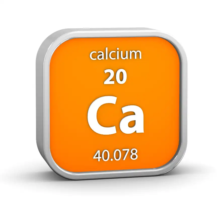 칼슘 많은 음식 Best 10, 칼슘 1일 섭취 권장량