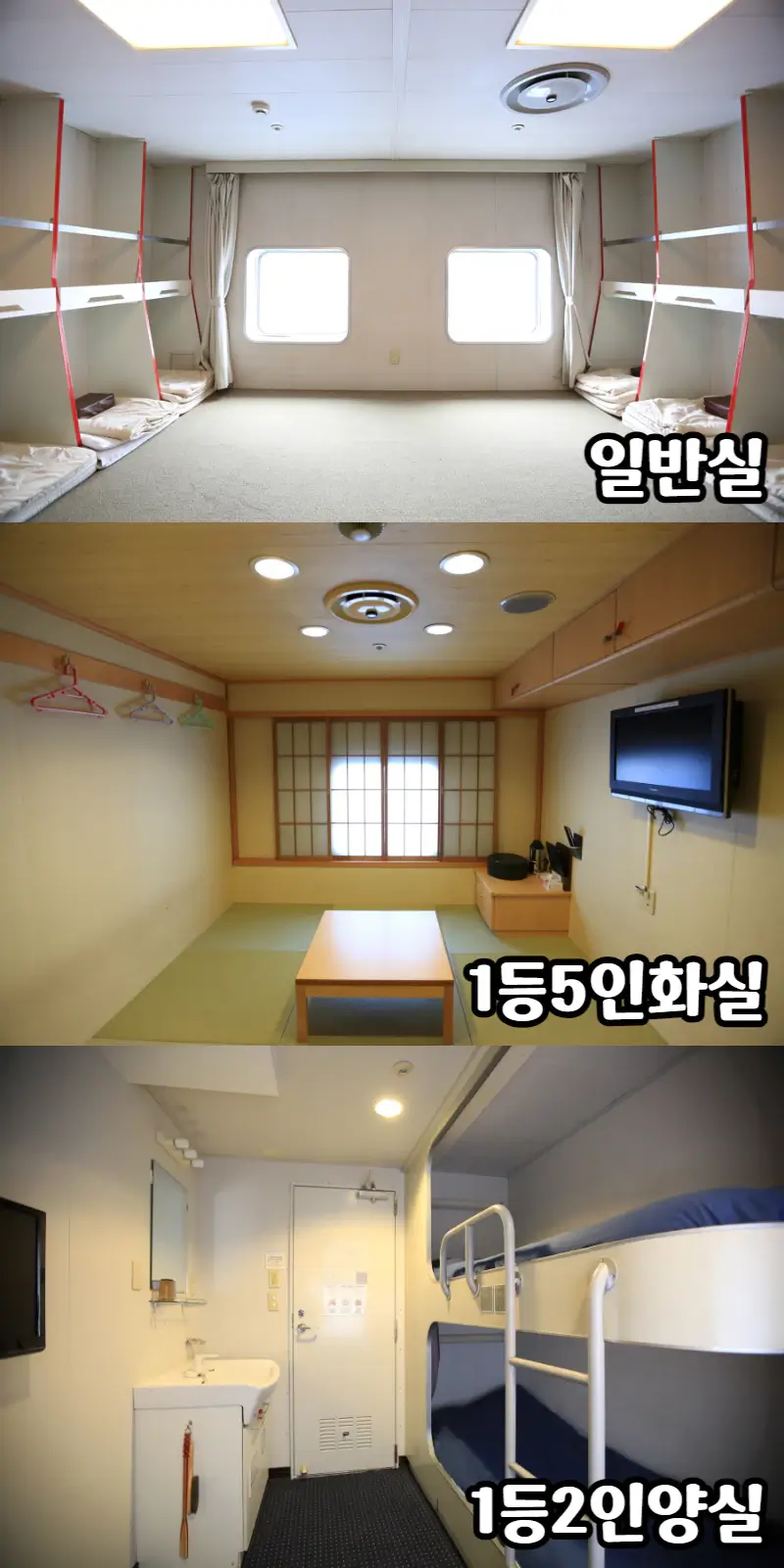 뉴카멜라인-객실-일반실,1등실