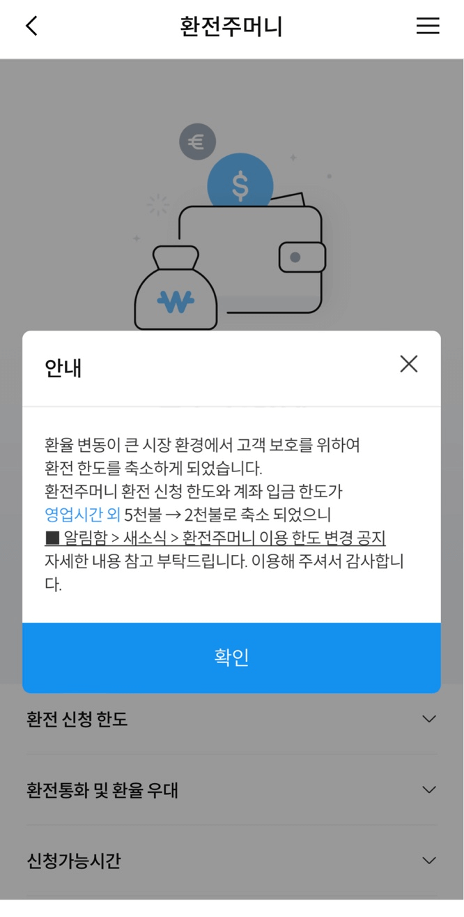 우리은행 환전 주머니